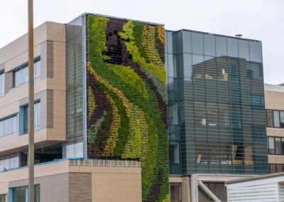 Deborah Heart and Lung Center Exterior Living Wall